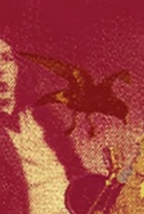 storm petrel image from red collage
